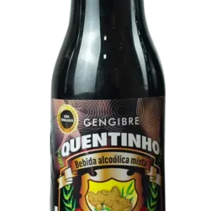 Gengibre Quentinho 600ml em garrafa de plástico